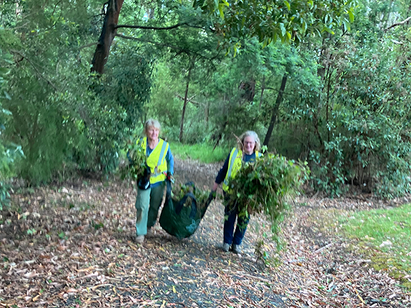 Participants in a Friends of Baths Rd Reserve working bee
