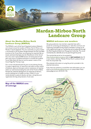 decorative image of the MMNLG information flyer
