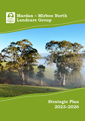decorative image of the MMNLG strategic plan