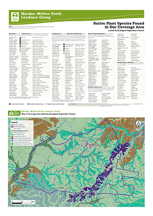 decorative image of the MMNLG EVCs map and species list resource