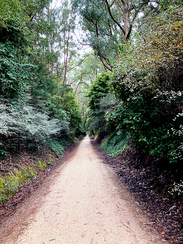 photo of the Grand Ridge Rail Trail, Mirboo North